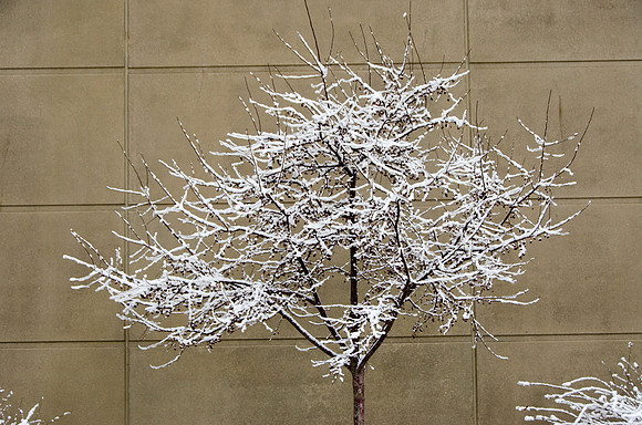 Winter on the campus of BYU-Idaho.