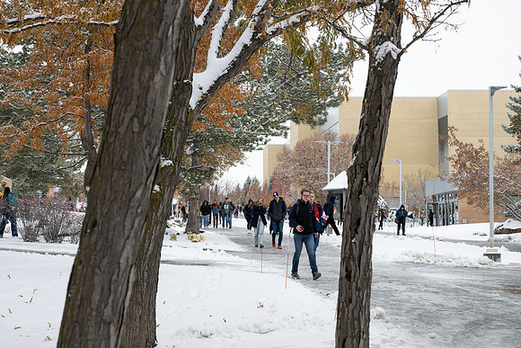 Campus Snow - Nov 2024