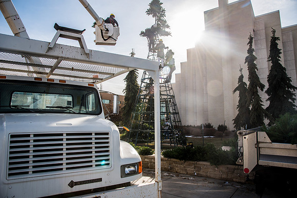 The BYU-Idaho ground keeping crew set up a christmas tree in front of the Taylor chapel. Fall Semester.