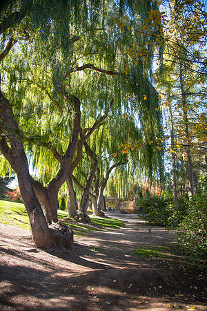 Autumn Colors on Campus -Oct 2016