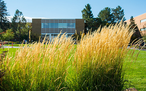 General Campus Scene