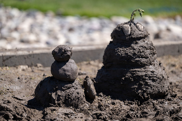 Mud Fest Day - June 2025