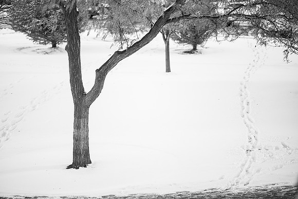 Campus Snow - Nov 2024
