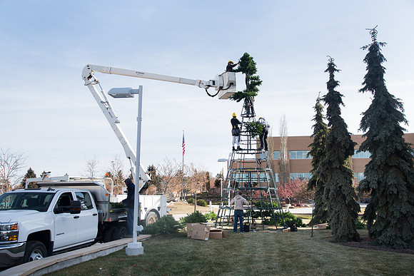Christmas Tree at the Taylor Quad.