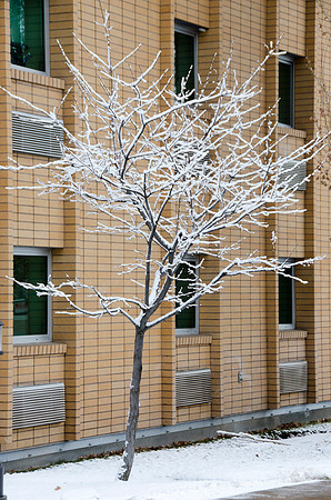 Winter on the campus of BYU-Idaho.