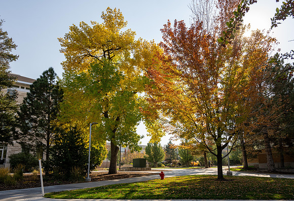 Campus Autumn - Oct 2024