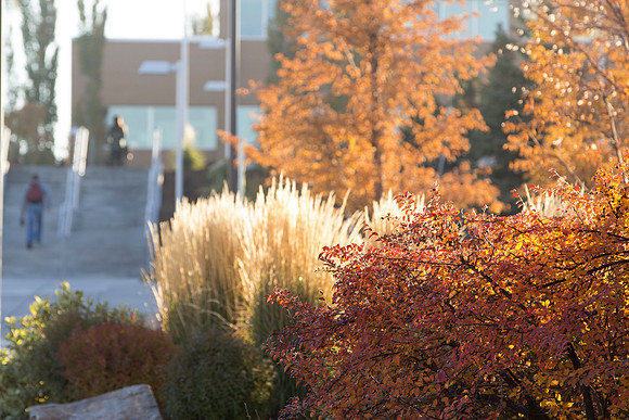 Scenes of fall on campus.