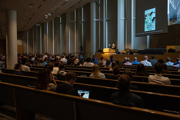 Laura Paulsen Presentation - June 2025