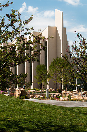 Taylor building, with trees in front, shot in summer