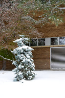 Campus Snow - Nov 2024