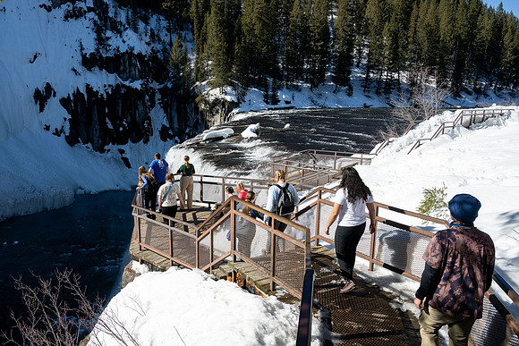 Snowshoeing at Bear Gulch - Mar 2025