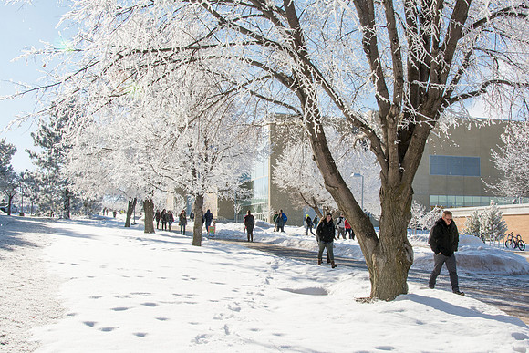 Frost covers campus early morning during Winter Semester.