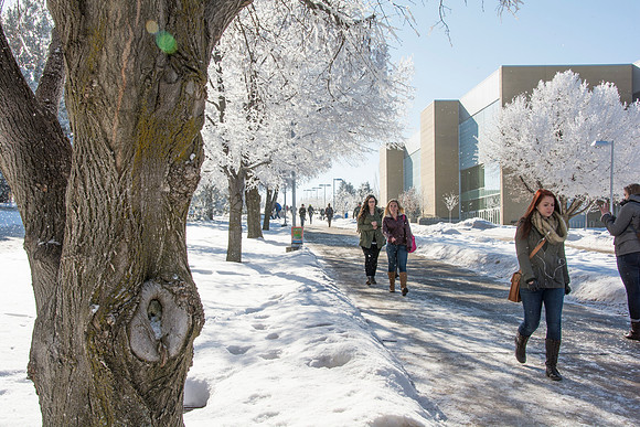 Frost covers campus early morning during Winter Semester.
