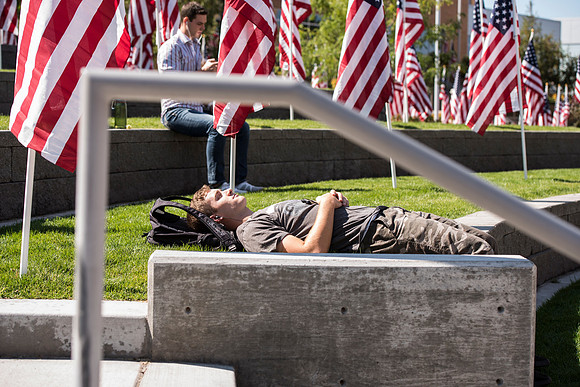 500 flags displayed in the Central Quad on Constitution Day.