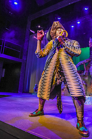 The theatre department's dress rehearsal of the Wind in the Willows in the Snow Drama Theatre.