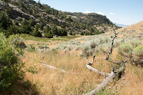 Martin's Cove, a place of refuge for handcart pioneers who were caught in an early winter storm en-route to Salt Lake City, UT.