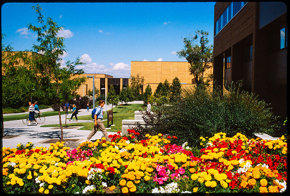 Beautifully landscape flower beds west of the Romney Building with the Snow Building in the background.