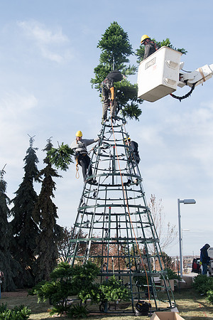 Christmas Tree at the Taylor Quad.
