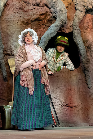 The Wind in the Willows - Feb 2020