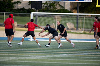 Rugby Championships.