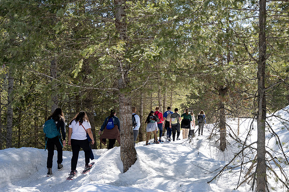 Snowshoeing at Bear Gulch - Mar 2025