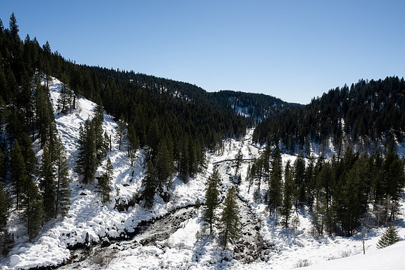Snowshoeing at Bear Gulch - Mar 2025