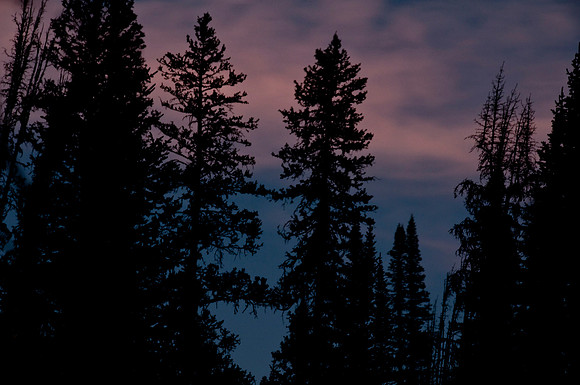 Targhee Creek Trail - Sept 2009