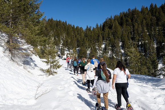 Snowshoeing at Bear Gulch - Mar 2025