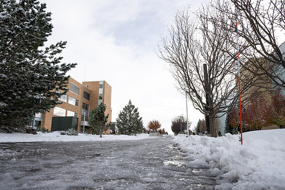 Campus Snow - Nov 2024