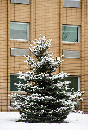 Winter on the campus of BYU-Idaho.