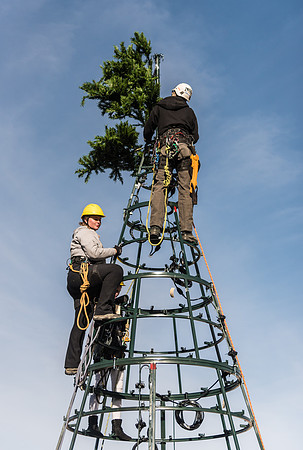 The BYU-Idaho ground keeping crew set up a christmas tree in front of the Taylor chapel. Fall Semester.