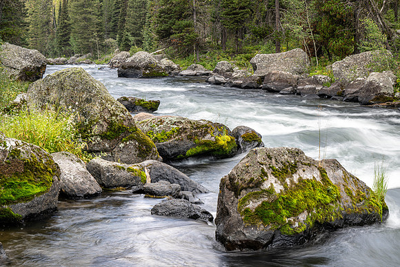 Photo excursion, hike along the river to Coffee Pot rapids.