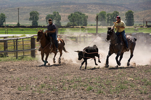 Dance Alliance tour through Wyoming Colorado and South Dakota. An enjoyable day at the "Homeplace" the ranch of the Pope family in Cokeville, Wyoming.