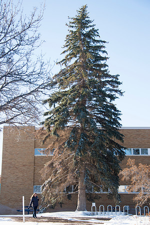 Campus after a light snow fall on a winter morning.