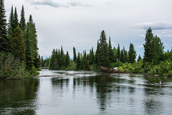 Beautiful summer day in the Grand Teton National Park celebrating America's Independence at Jenny's Lake.