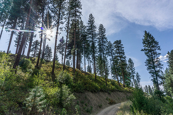 Various landscapes in central Idaho along a well known bikepacking route.
