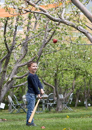 Apple Blossom Festival - May 2025