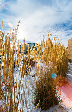 A look through autumn colors at the Jacob Spori Building.