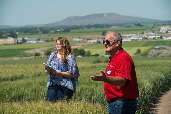 Ag students get the opportunity to show off their wheat crops during Ag Days.