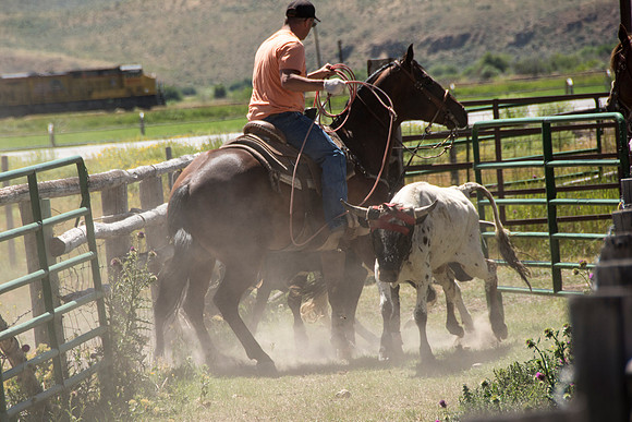 Dance Alliance tour through Wyoming Colorado and South Dakota. An enjoyable day at the "Homeplace" the ranch of the Pope family in Cokeville, Wyoming.