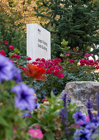 Campus Fall - Oct 2024