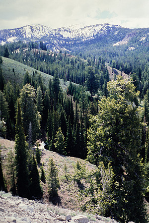 Idaho Boise to Ketchum