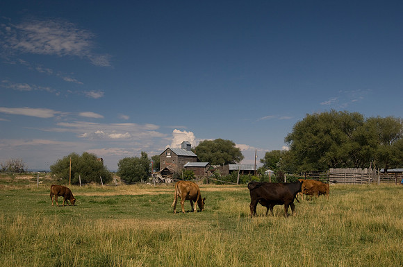 Agricultural Scenic Shots