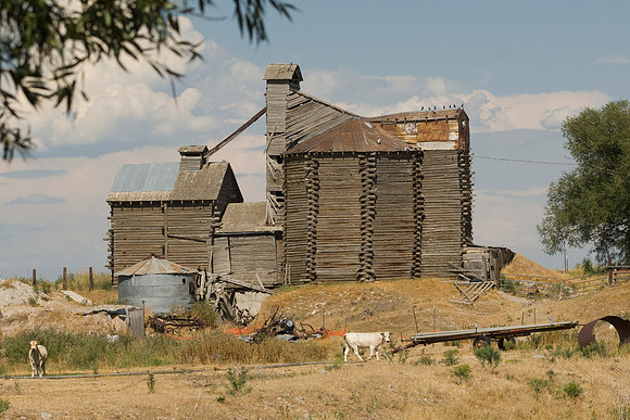 Agricultural Scenic Shots