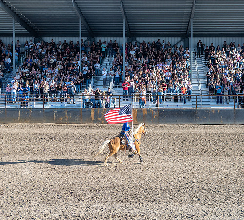 SpringFest Rodeo - June 2025