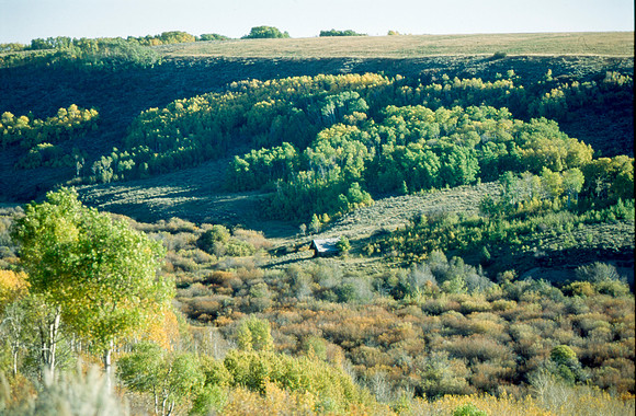 Scenery photographs of the Elk Ranch.