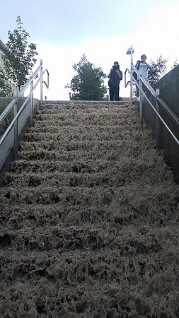 July 15, 2014 Over an inch of rain in less than an hour created a flash flood through Rexburg streets, through a few BYU-Idaho buildings and also flooded several students basement apartments. The even