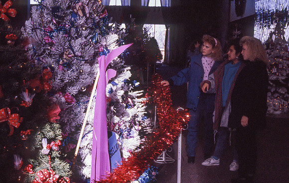 Christmas Tree Lane, 1990