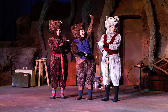 The Wind in the Willows - Feb 2020