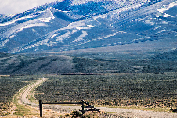Along Highway 28 South of Salmon ID